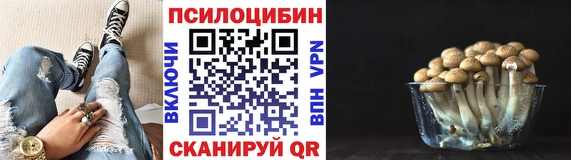 Псилоцибиновые грибы мицелий даркнет какой сайт Тырныауз МЕГА ТОР